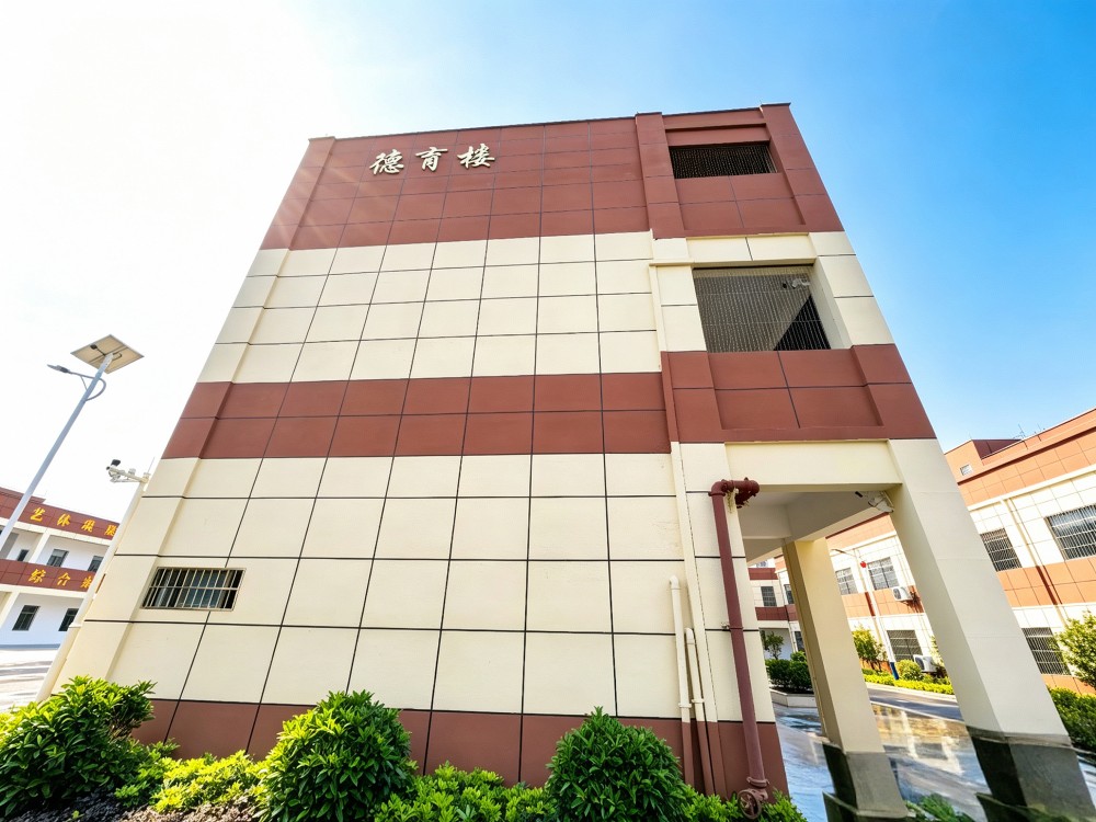 湛江有实力的叛逆孩子教育学校怎么选?这份择校实操指南请收好